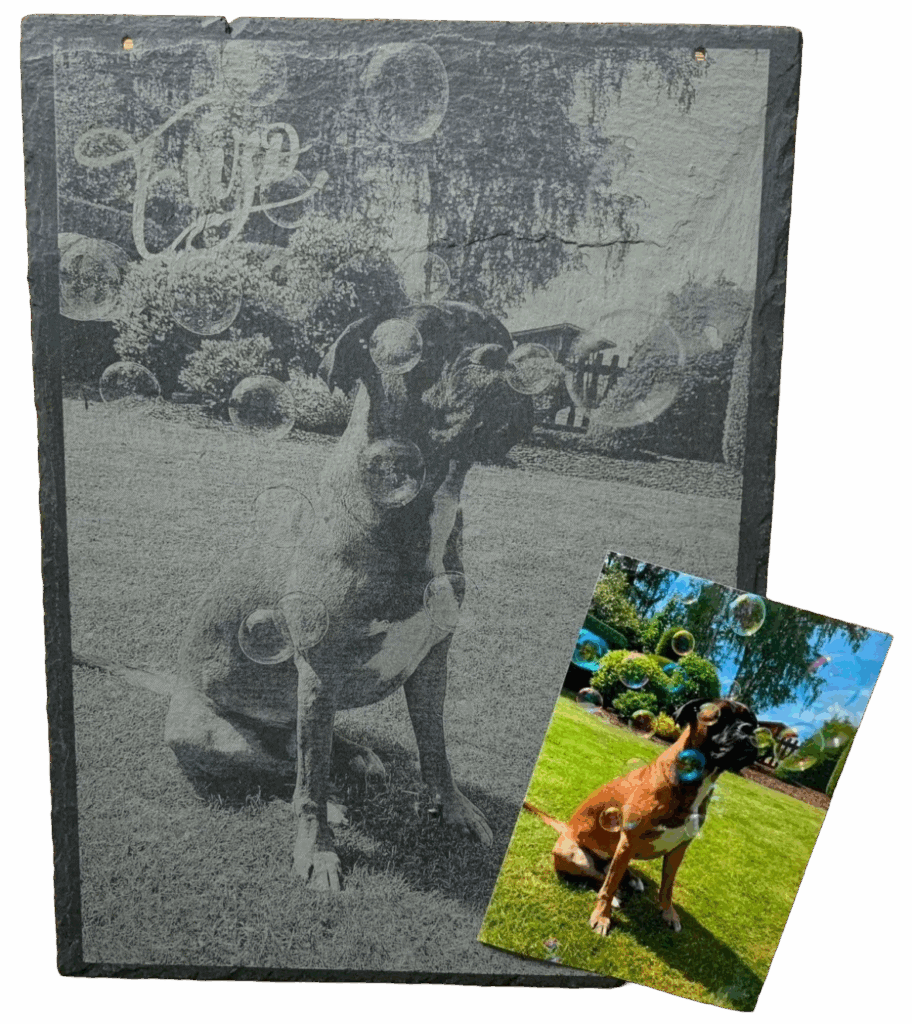 Hundeaufnahme mit Bubble-Effekt, personalisiert durch Lasergravur, auf Holzplatte, Geschenkidee, Haustierfoto, Haustiergeschenk, Lübbecke, Laserart Kevin Langer.
